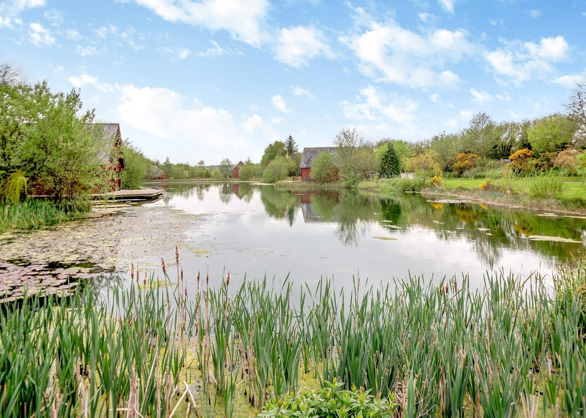 מנאי ברידג' Anglesey Lakeside Lodges חדר תמונה